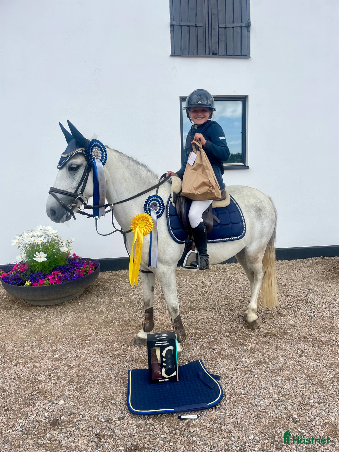 Hoppning hästar till salu: Kvalitetsponny  i Vellinge - Annons 5