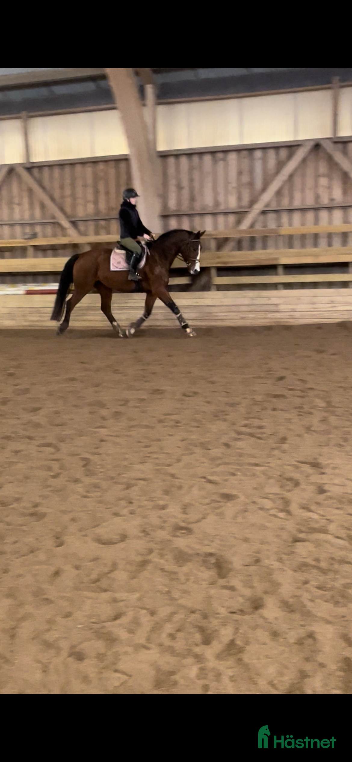  hästar Perfekt sto för framtiden!  i Nybro - Annons 17