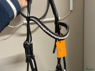 Träns hästutrustning till salu i Färlöv - Annons 10