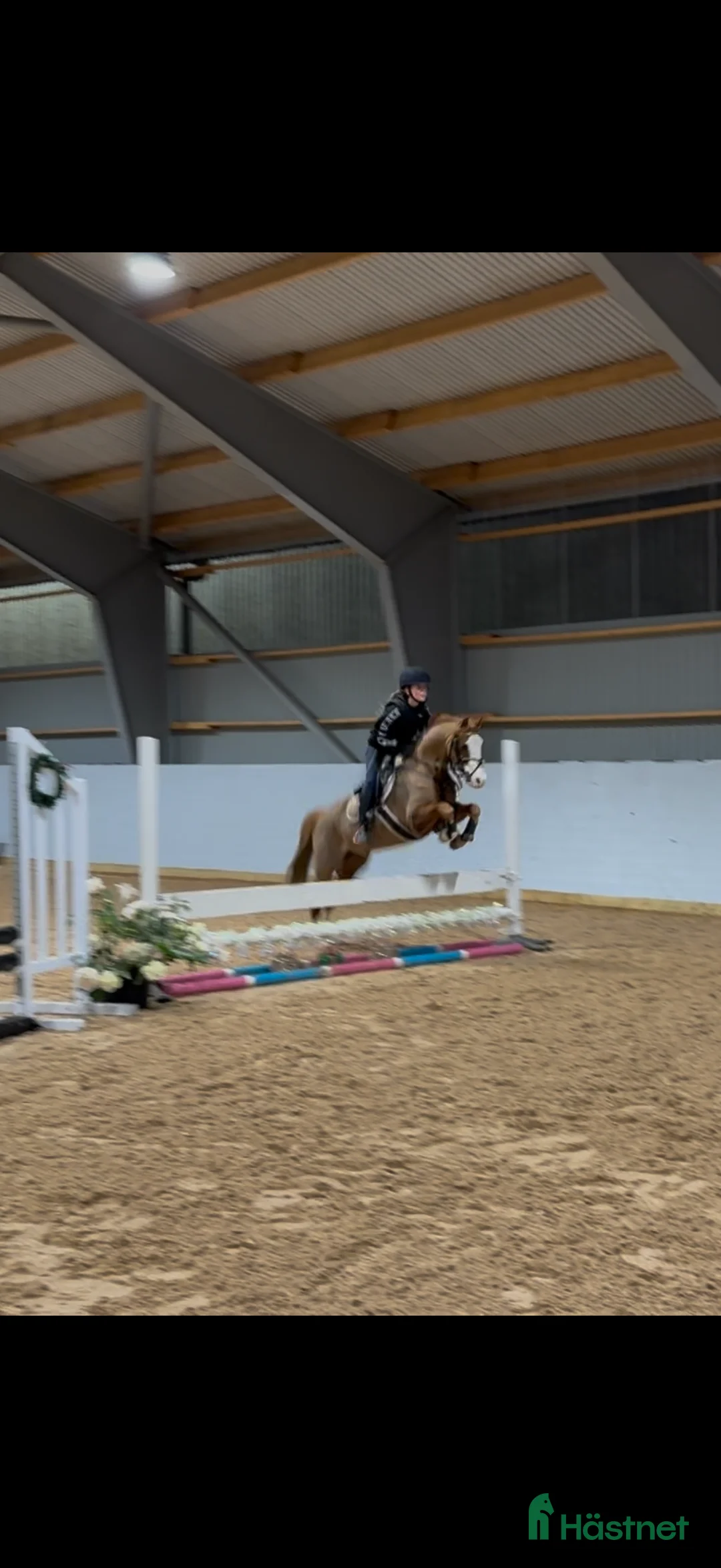  hästservice finnes: Utbildning och inridning av ponnyer i Nykvarn - Annons 2