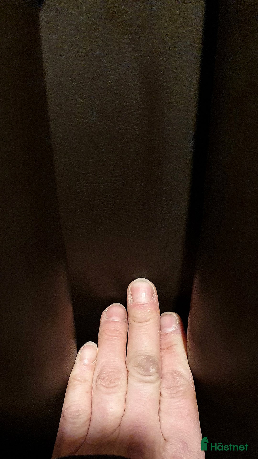 Sadlar hästutrustning till salu: Nästan ny med ändringsbar bomvidd i Skövde - Annons 2