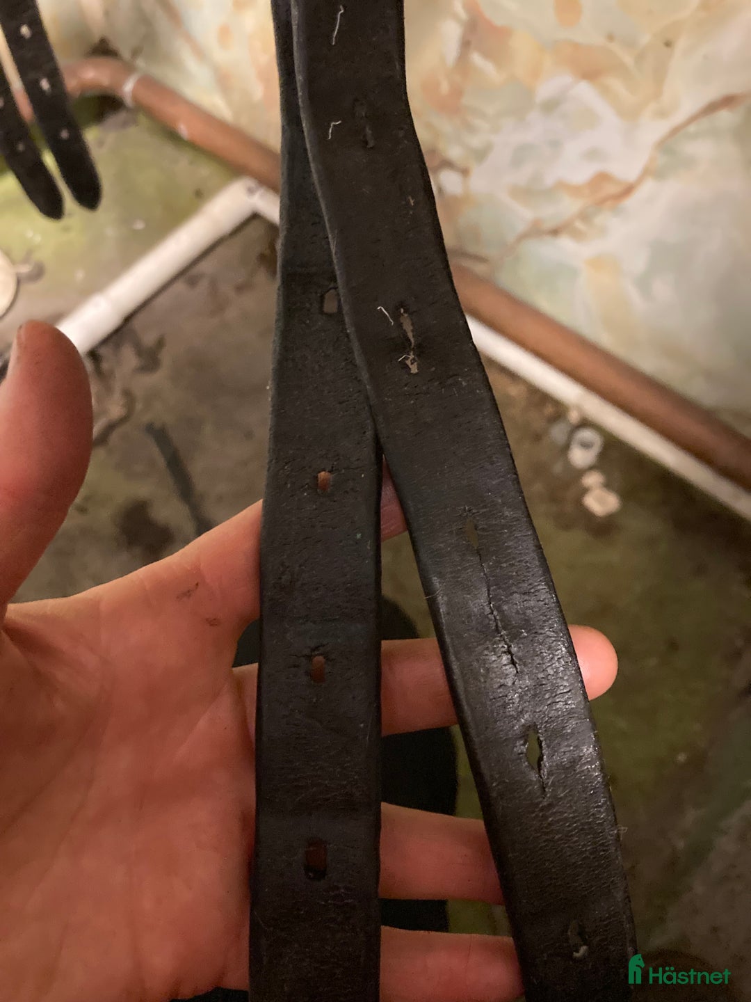 Sadlar hästutrustning till salu: Välanvänd Prestige D1 med mycket kvar att ge i Söråker - Annons 4