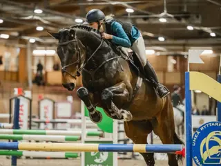 hästar Häftig rosettplockare med stort hjärta i Umeå - Annons 7