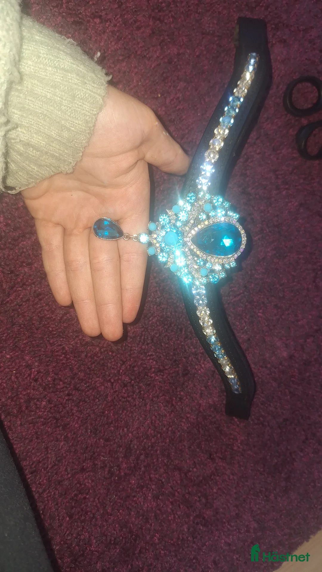 Träns hästutrustning till salu: 🌟panband till salu🌟 i Nora - Annons 2