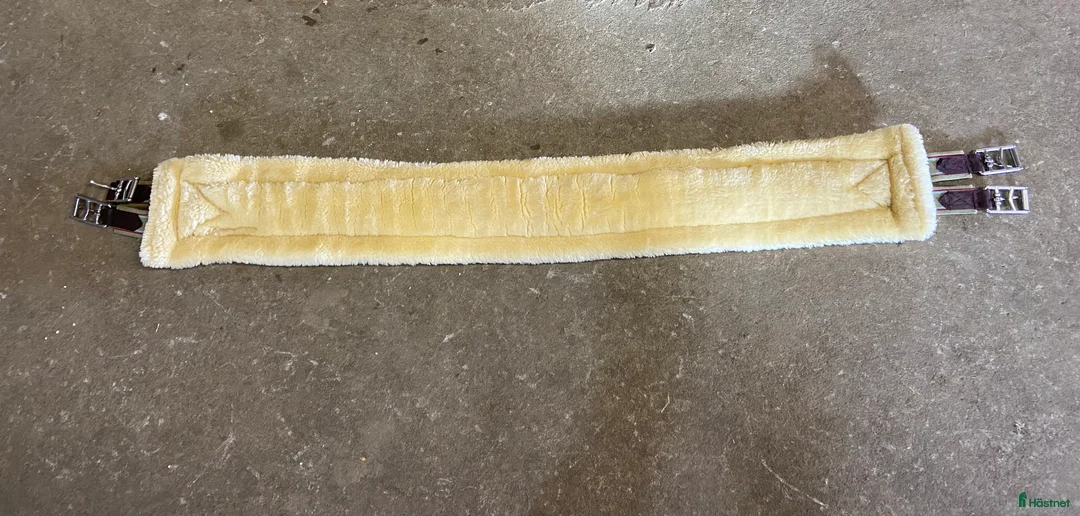 Sadeltillbehör hästutrustning till salu: Sadelgjord strl 135 - Annons 2