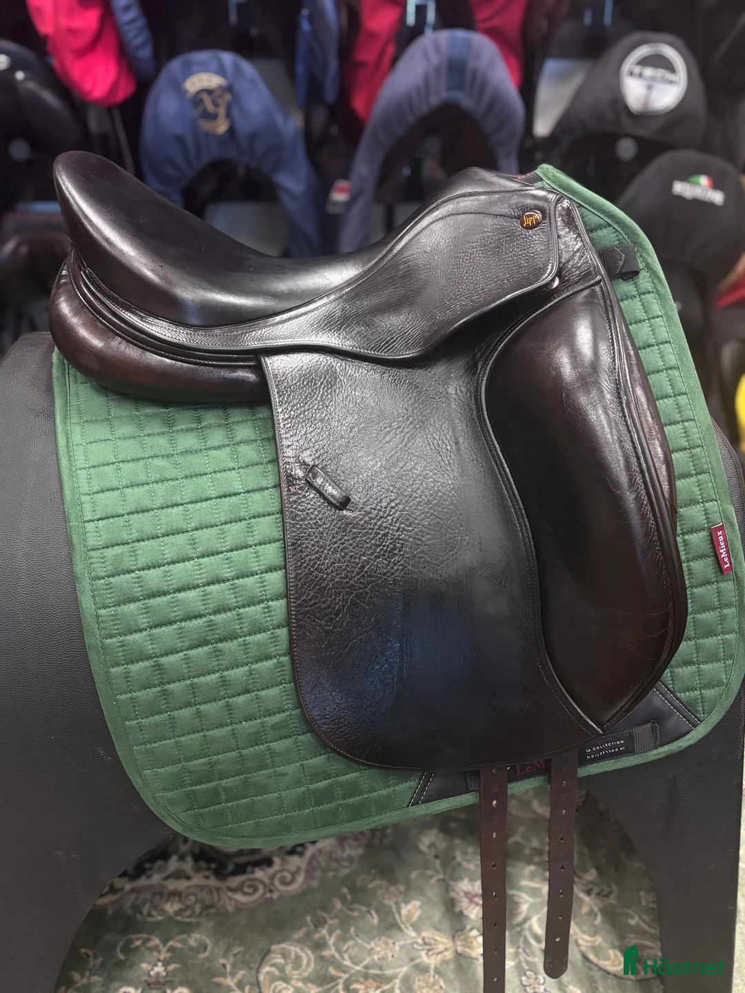 Sadlar hästutrustning till salu: Lippo Azzario ✨ i Hova - Annons 2