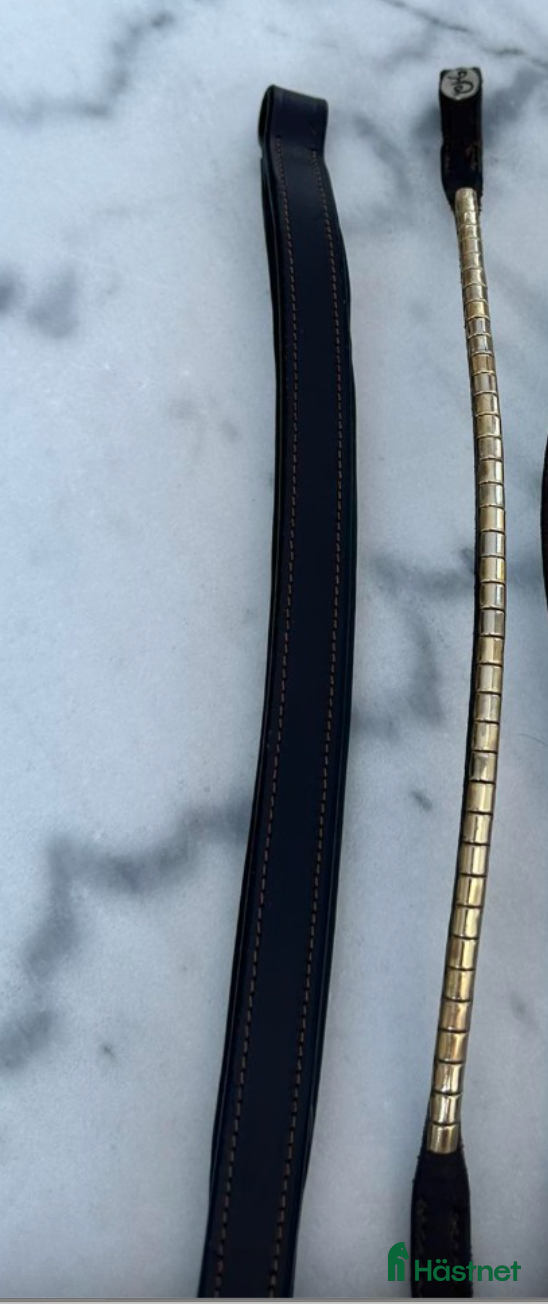 Träns hästutrustning till salu: Pannband, brunt läder stl Cob i Söderköping - Annons 23