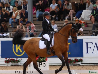 hästservice Utbildning, Försäljning, Tävling i Sparsör - Annons 16