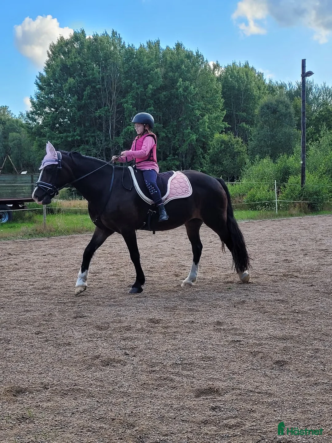  medryttarhäst finnes: Medryttare sökes ! till barnPonny  i Blekinge i Karlshamn - Annons 4