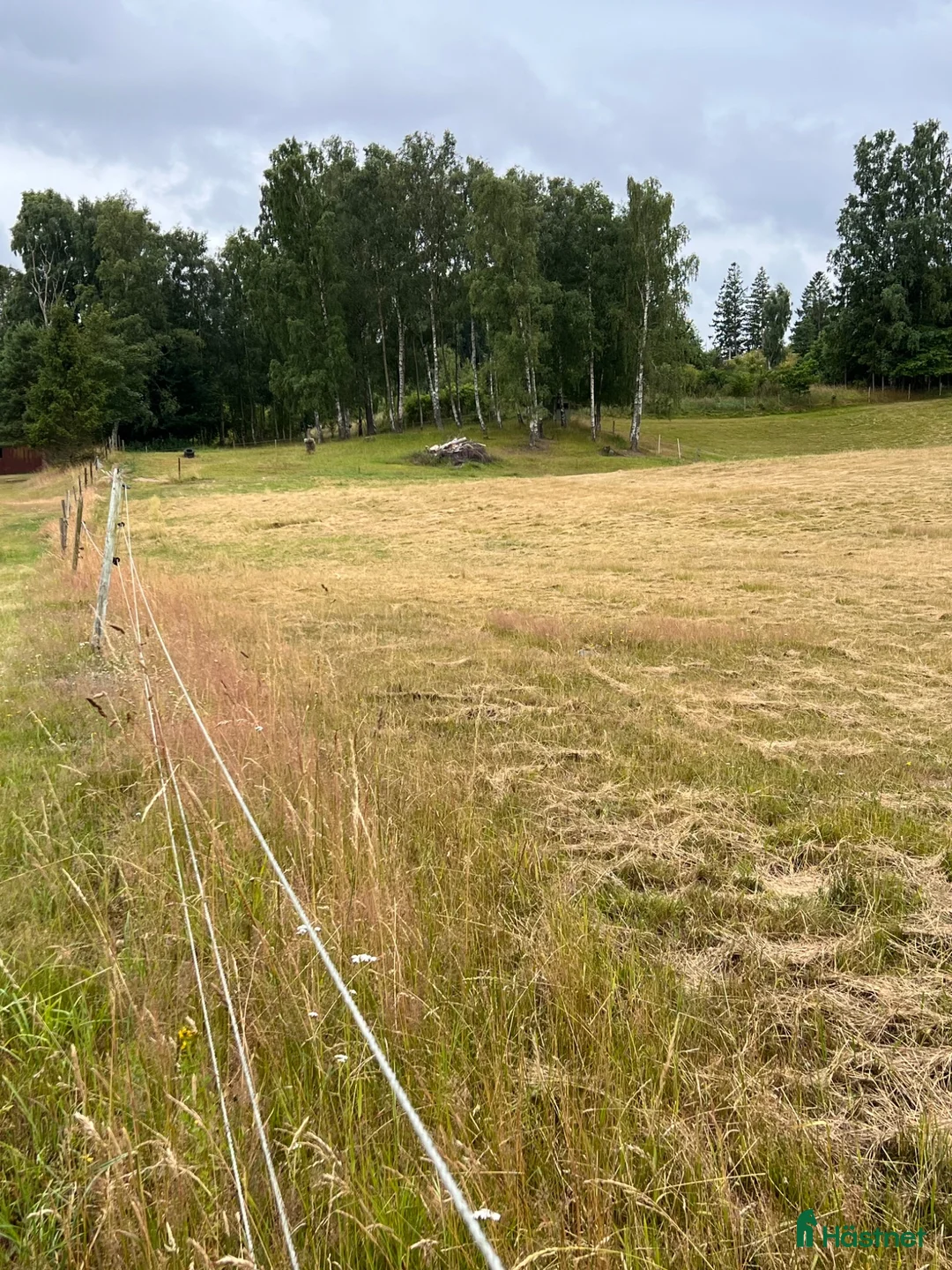  stallplats finnes: Lediga boxplatser i lugnt stall - Annons 2