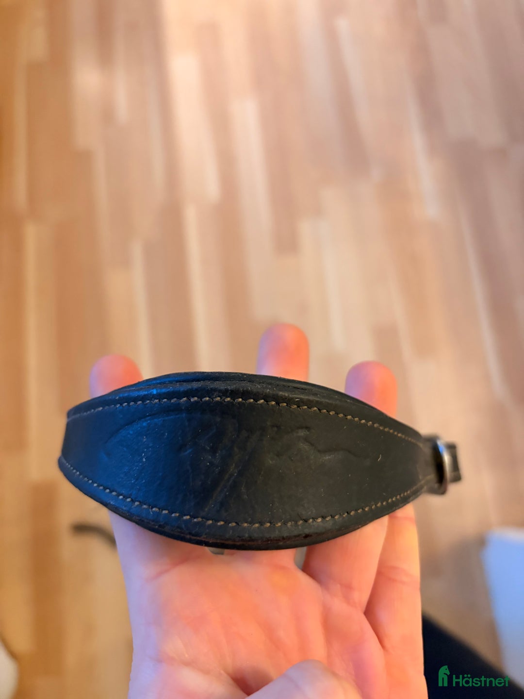 Träns hästutrustning till salu: Dyon förbygel  i Mölle - Annons 2