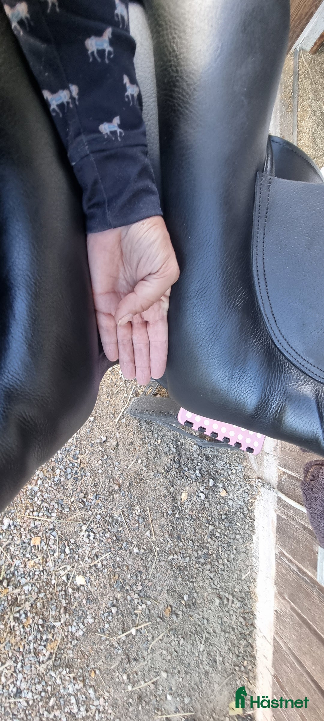 Sadlar hästutrustning till salu: Lippo Vanessa  i Falun - Annons 6
