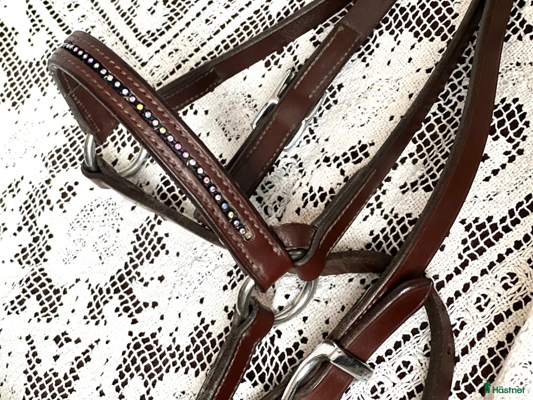 Träns hästutrustning till salu: Islandsträns i Kungsängen - Annons 3