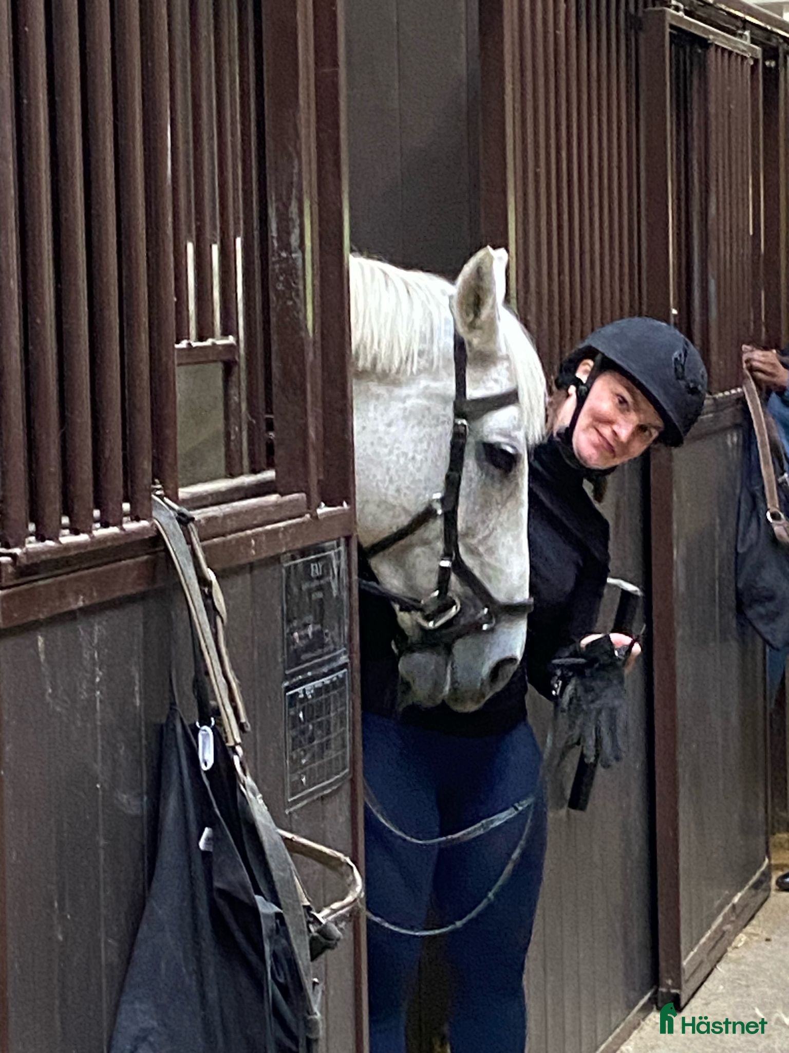  medryttarhäst sökes: Medryttare söker häst 🐴 - Annons 4