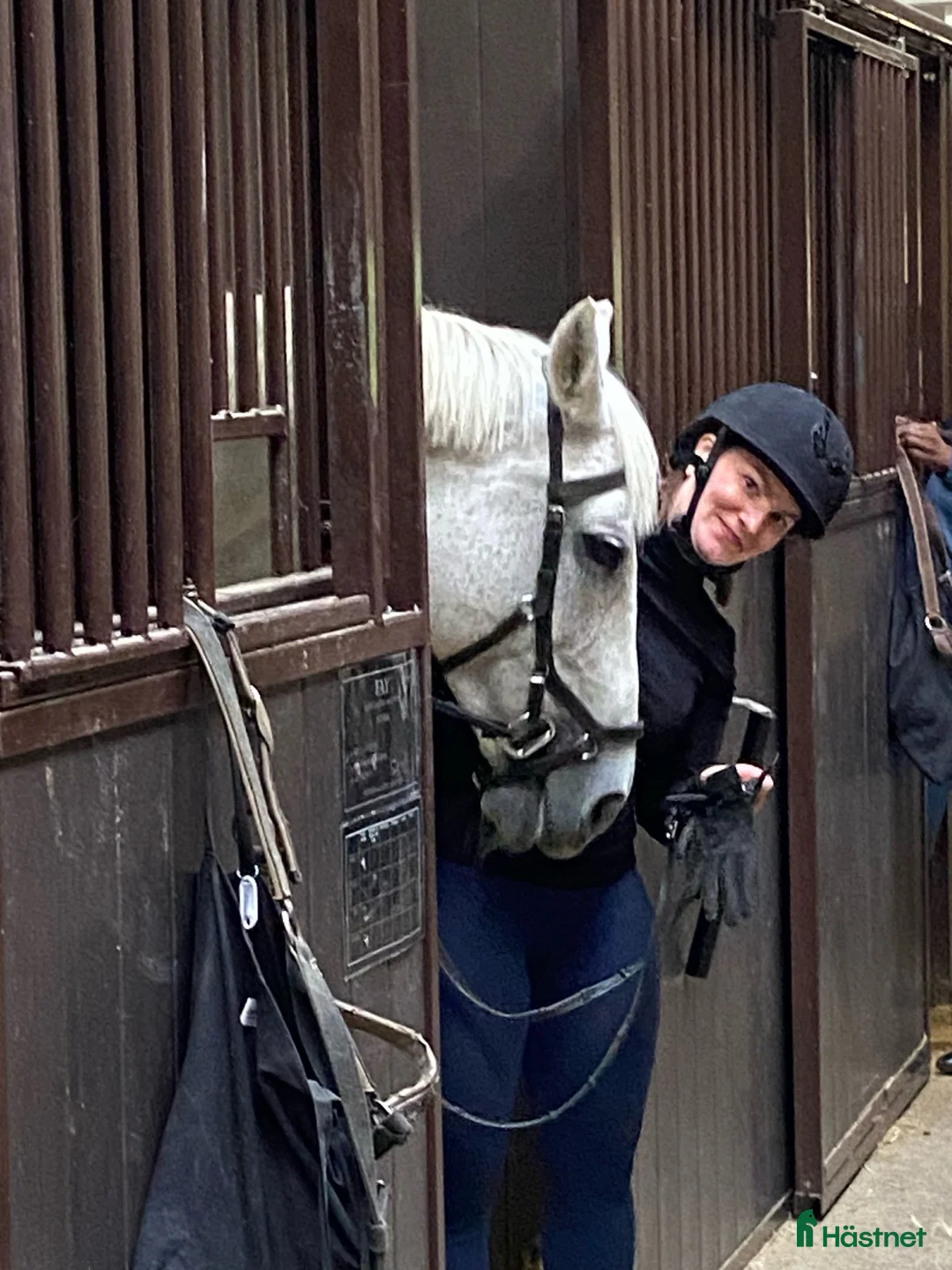  medryttarhäst sökes: Medryttare söker häst 🐴 i Bandhagen - Annons 1