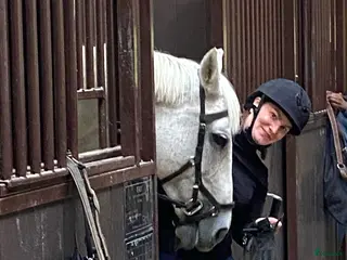 medryttarhäst sökes: Medryttare söker häst 🐴 - Annons 4
