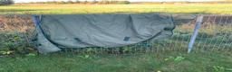 Täcken hästutrustning till salu: Vinterdäcke i Rånäs - Annons 1