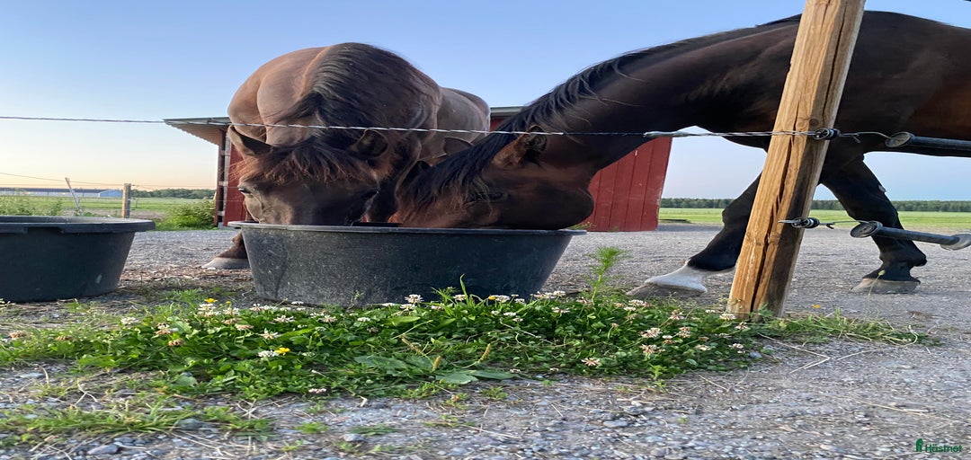 Galleribild {{count}}