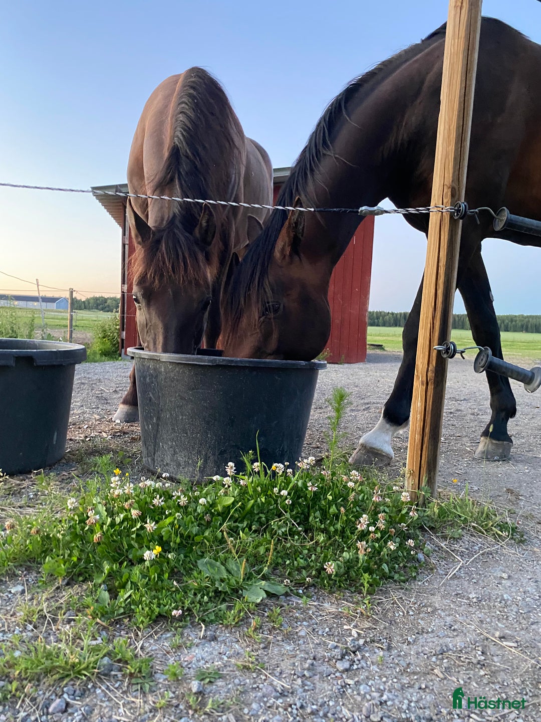 Galleribild {{count}}