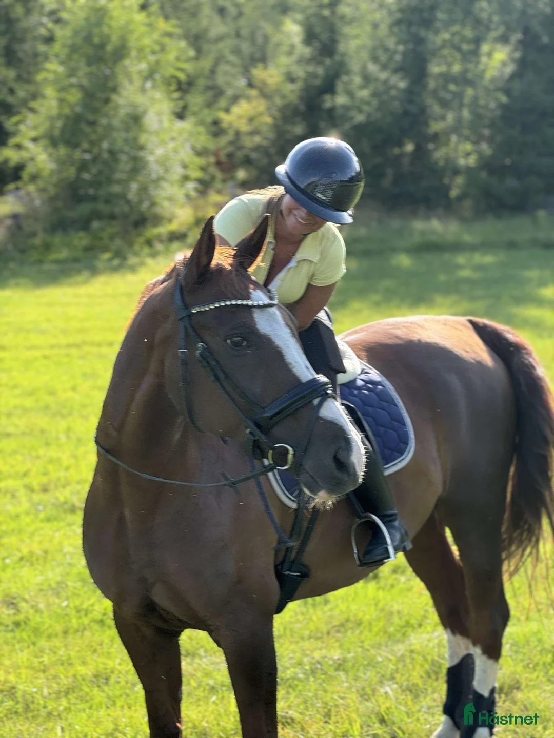 Dressyr hästar till salu: Fantastisk bästa vän med stor potential - Annons 1