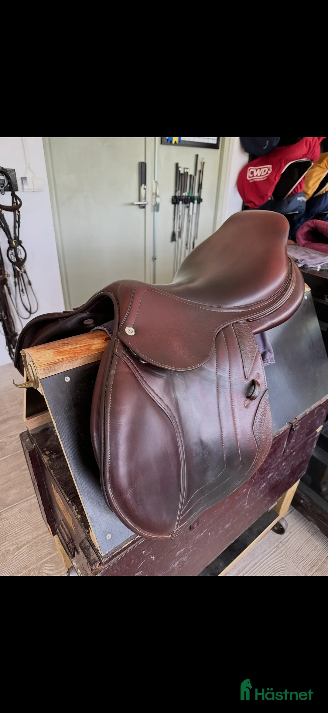 Sadlar hästutrustning till salu: Cwd SE02 sadel!! i Ekerö - Annons 3