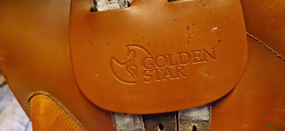 Sadlar hästutrustning till salu: Prestige Golden Star  i Brålanda - Annons 7