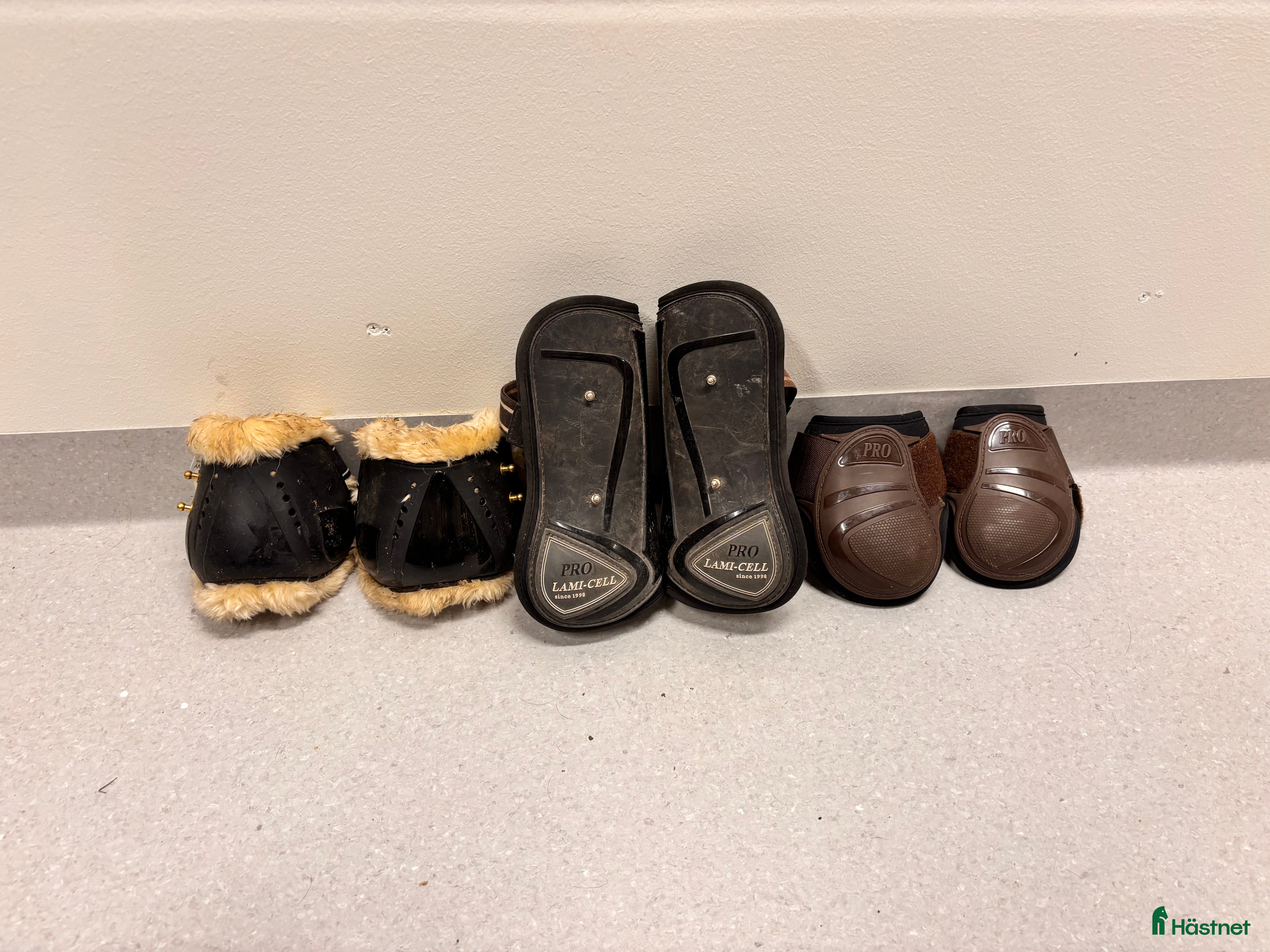 Benskydd hästutrustning till salu: Benskydd fram och bak i Växjö - Annons 9