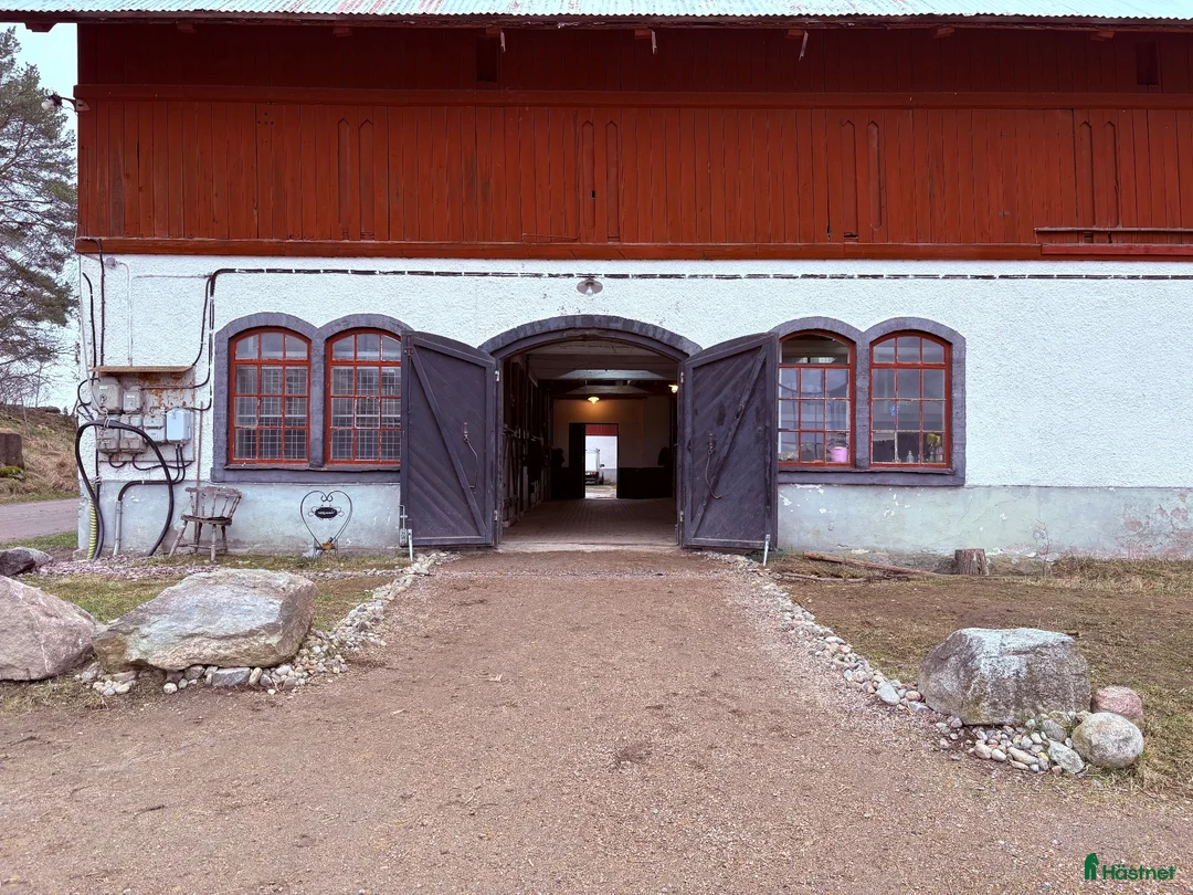  stallplats finnes: Stallplats finnes 15 minuter från Nyköping  - Annons 1