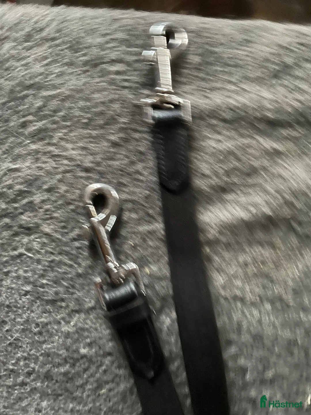 Övrig Hästutrustning hästutrustning till salu: Inspänningstygel - Annons 4