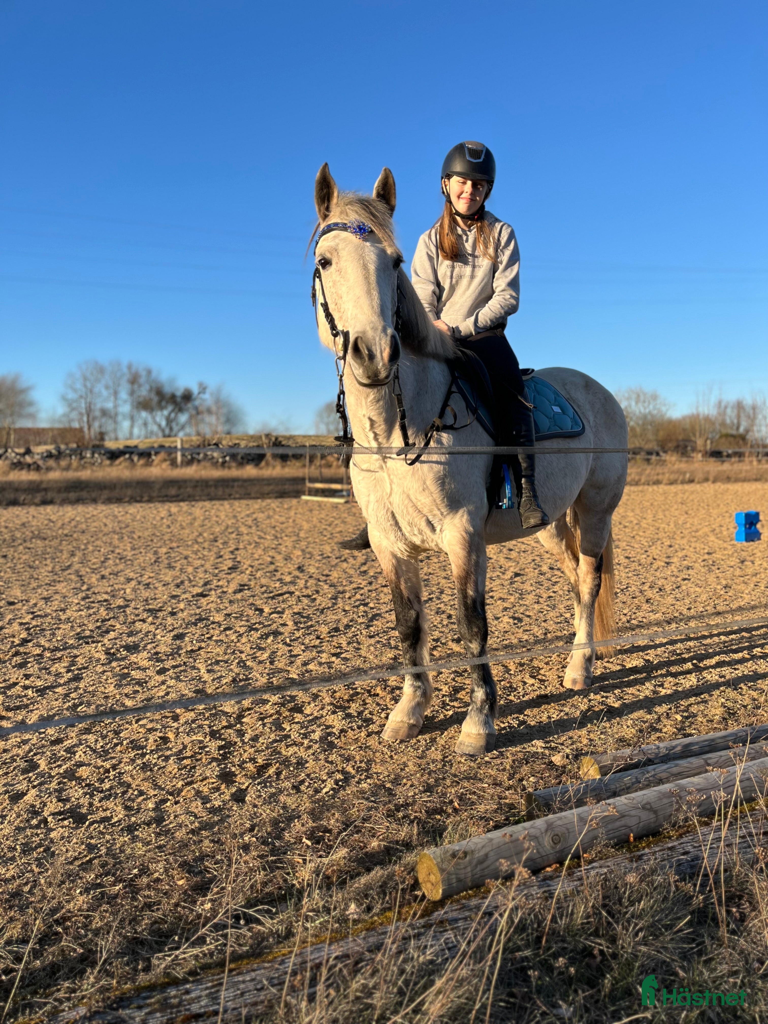  hästar Söker snäll stor häst  i Kristianstad - Annons 2
