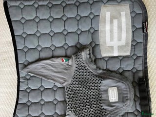 Schabrak & Vojlockar hästutrustning till salu: säljes schabrak e-logga i Eskilstuna - Annons 9