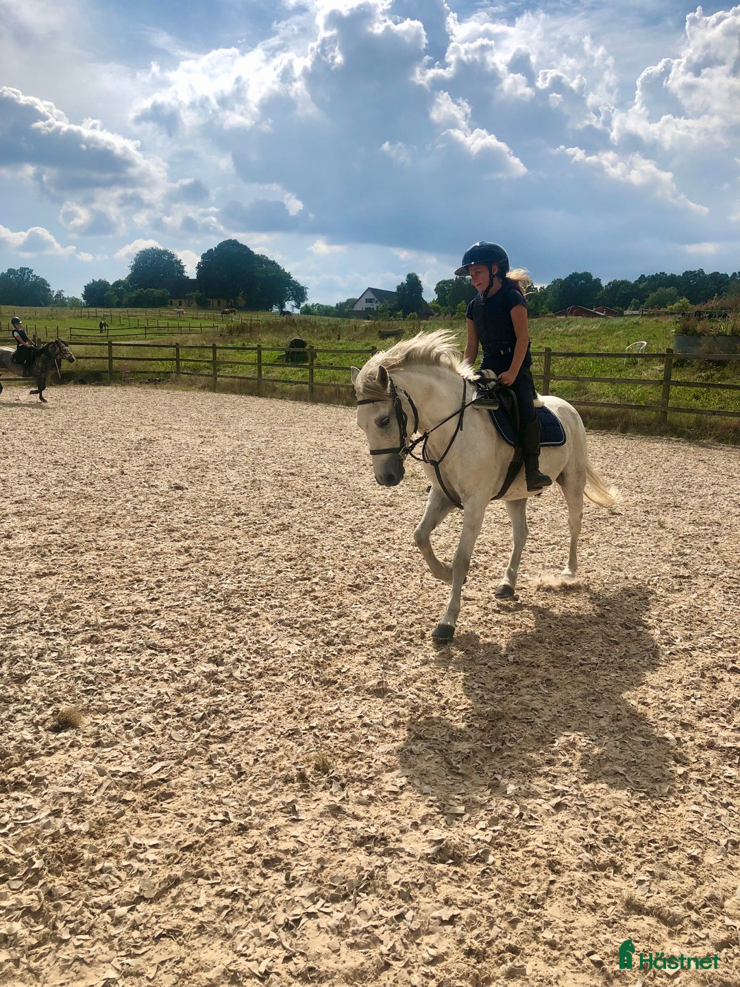 Hoppning hästar till salu: Kvalitetsponny  i Vellinge - Annons 4