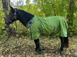 Täcken hästutrustning Equoiq regntäcke 0g storlek 135 och 145 - Annons 7