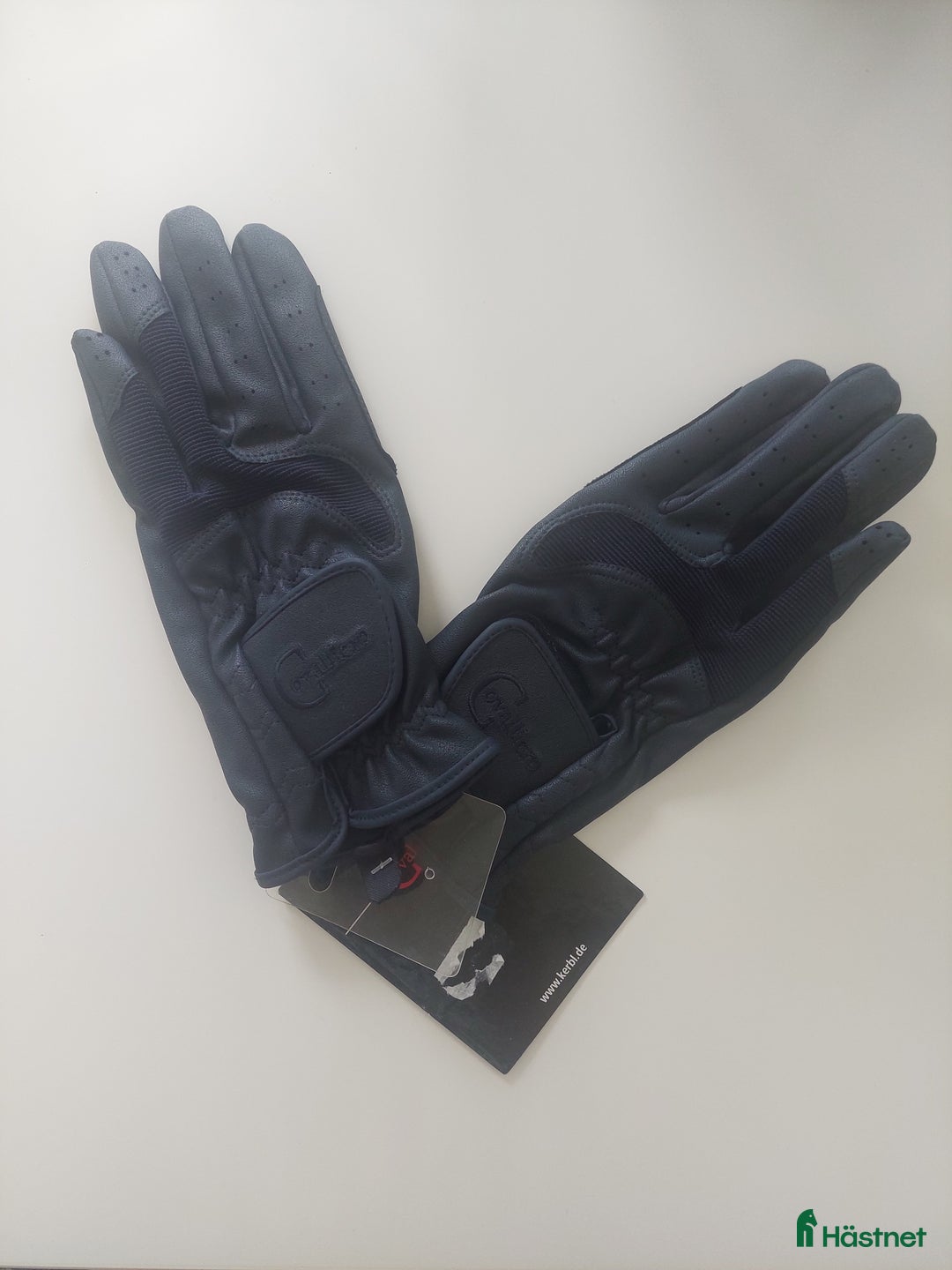Övrig Ryttarutrustning ryttarutrustning till salu: Oanvända ridhandskar i Umeå - Annons 2
