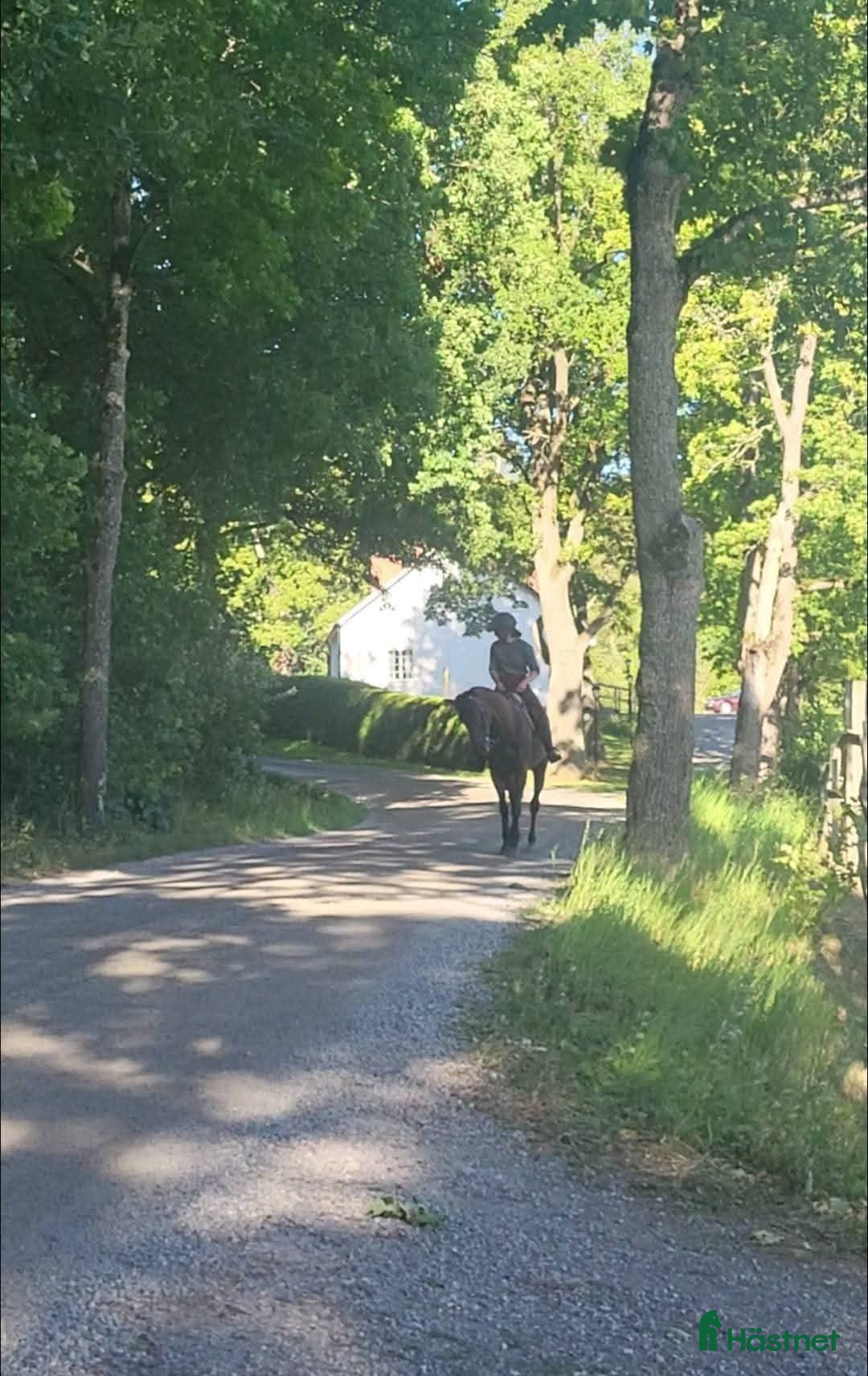  stallplats Ärla, Eskilstuna: Lösdrift och stallplatser lediga - Annons 13
