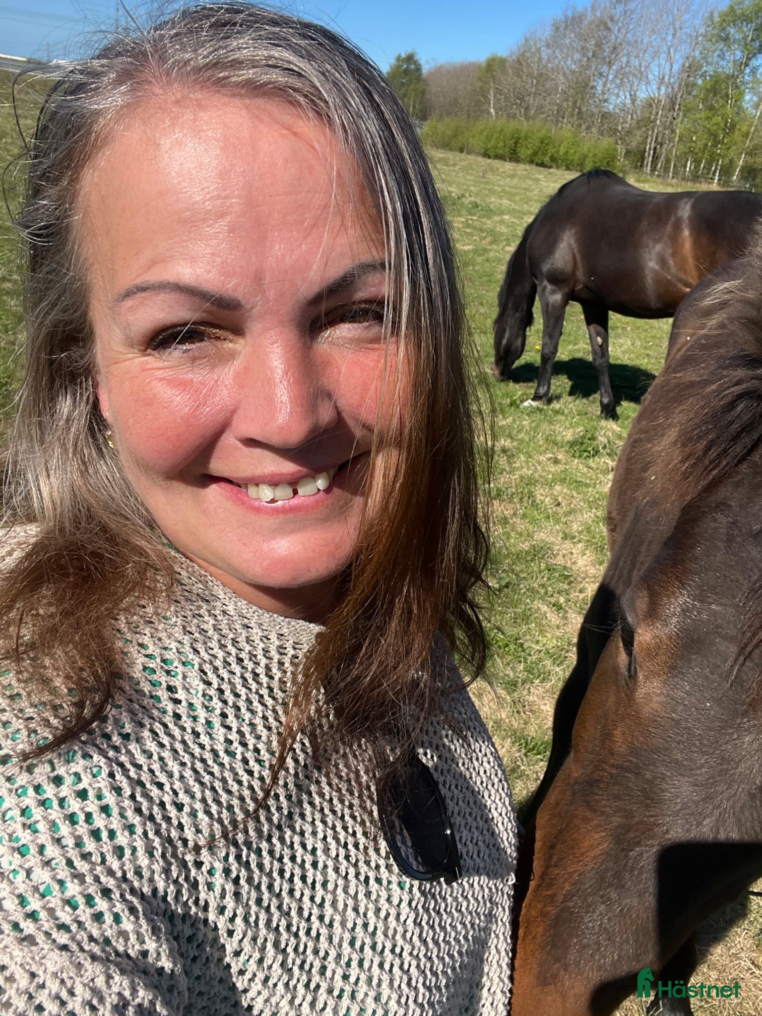  foderhäst Foderhäst sökes💞 - Annons 3