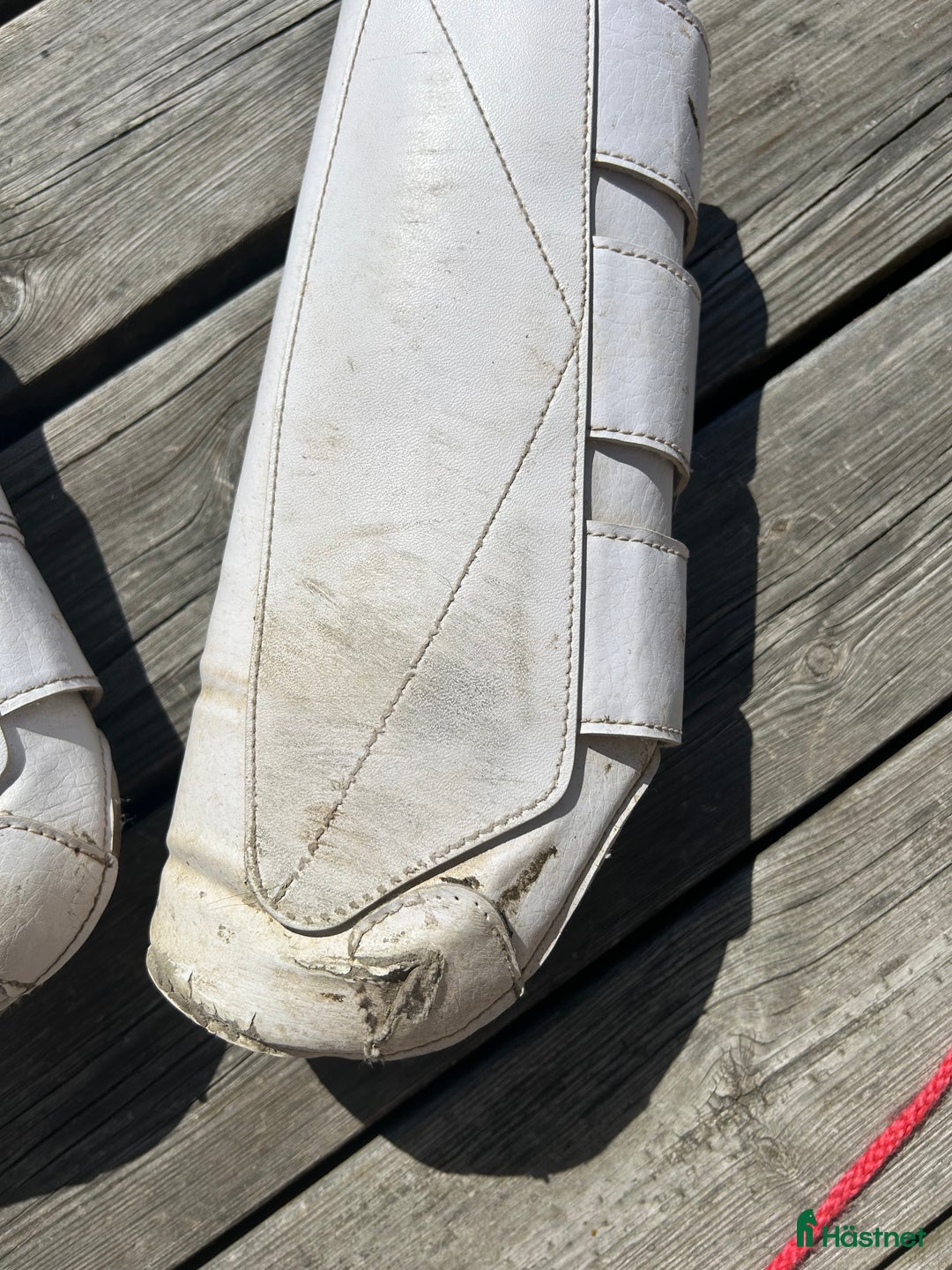 Benskydd hästutrustning till salu: Dressyrskydd från Tekna i Sala - Annons 5