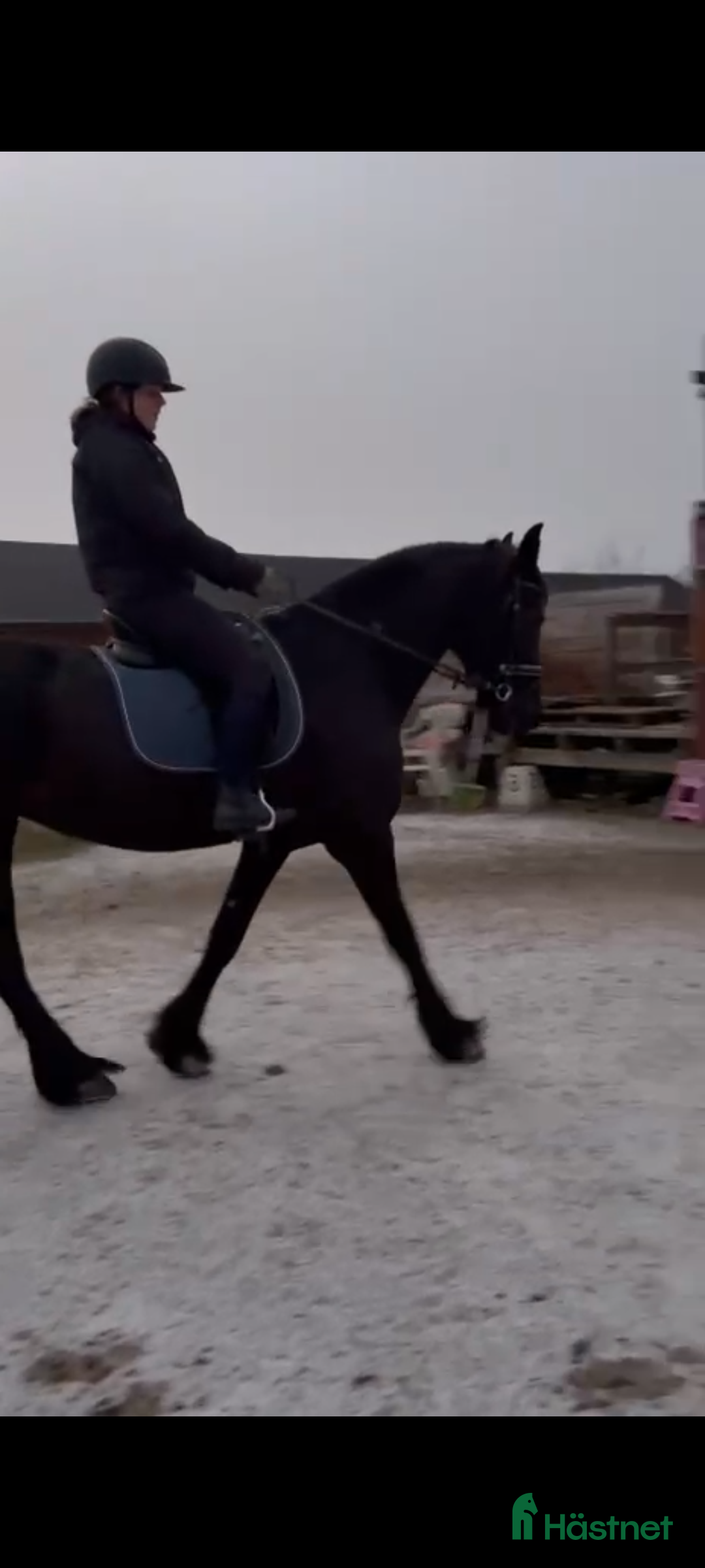  medryttarhäst sökes: Medryttarhäst/skötare sökes i Vagnhärad - Annons 2