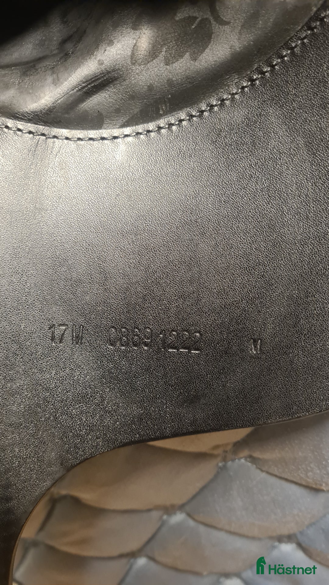 Sadlar hästutrustning till salu: Prestige D2 XFree i Hamneda - Annons 6