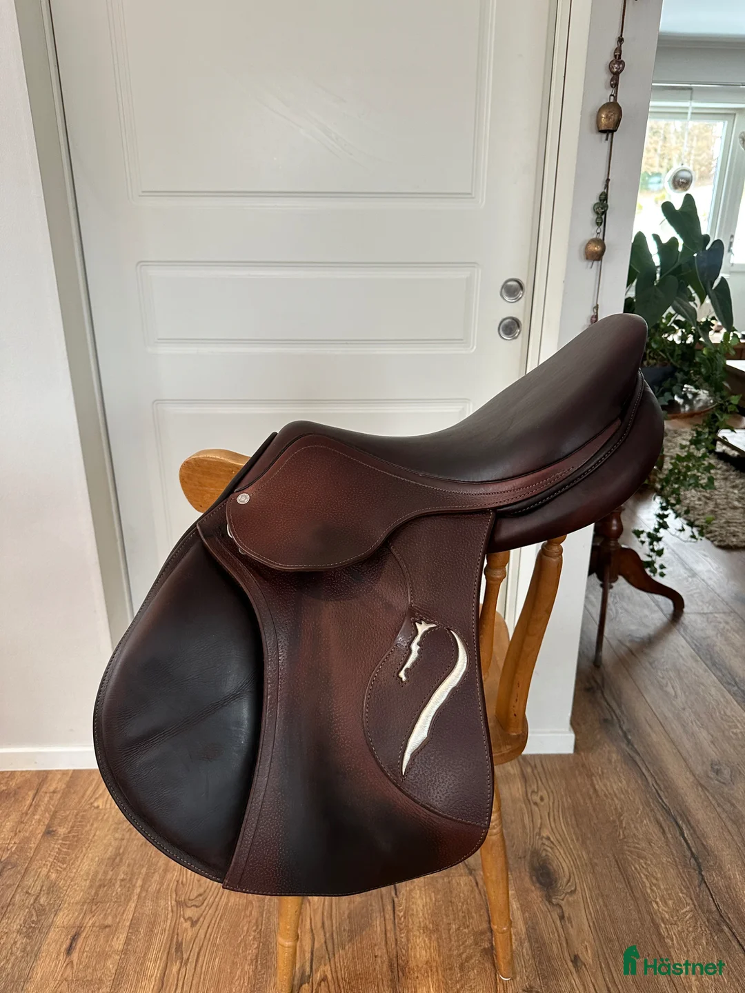 Sadlar hästutrustning till salu: Antares Evolution sadel i toppskick - Annons 1