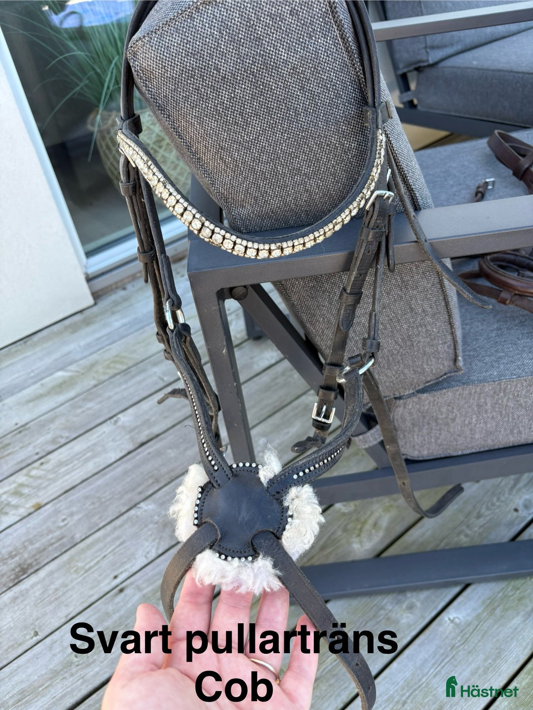 Övrig Hästutrustning hästutrustning till salu: Häst och ponny saker - Annons 13