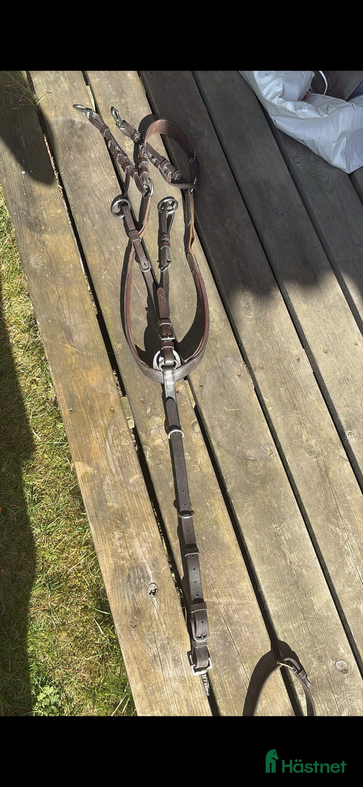 Övrig Hästutrustning hästutrustning till salu: Brun Dyon förbygel med martingal i Jönköping - Annons 14