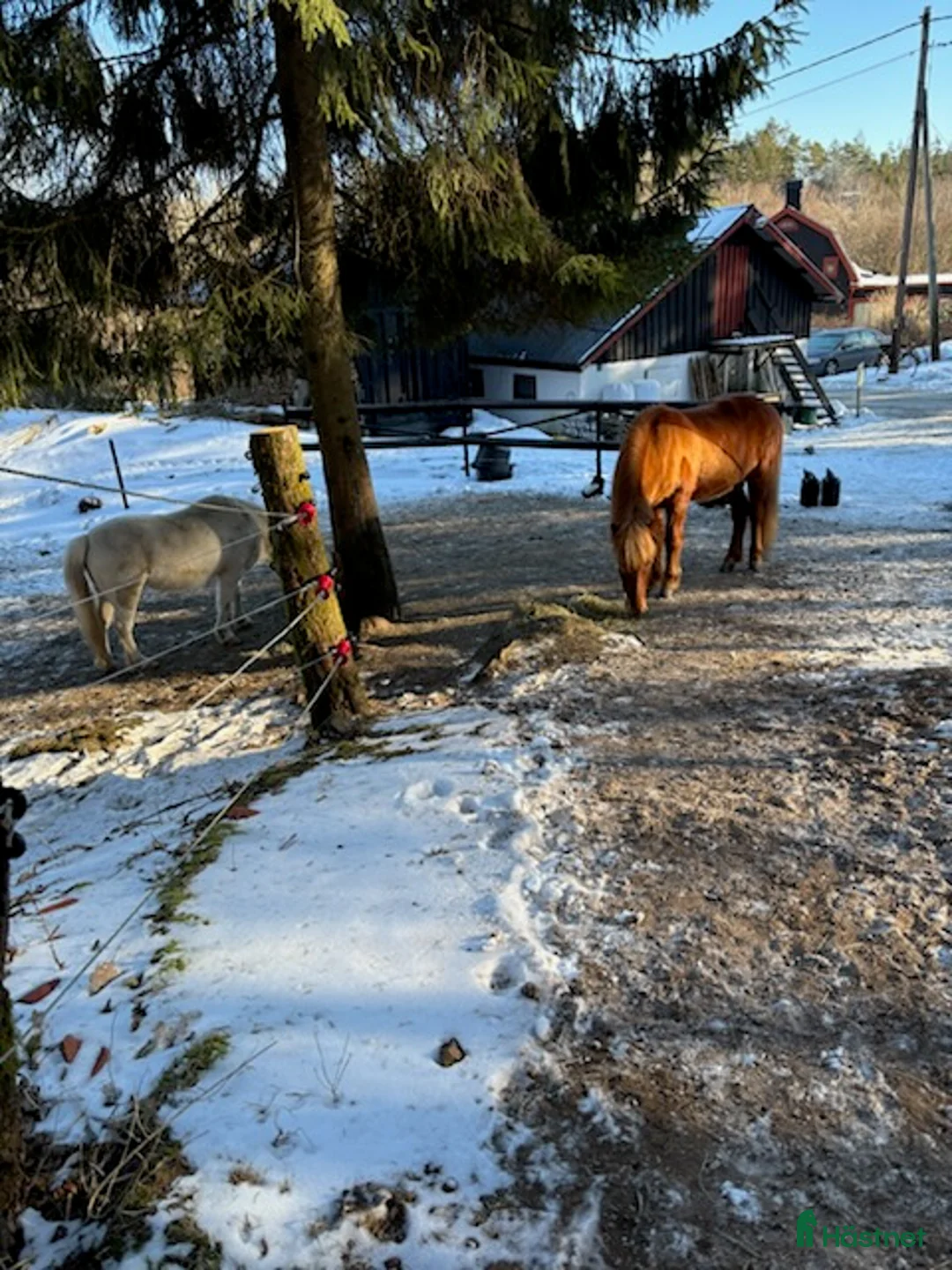  stallplats finnes: Ledig stallplats i Mölnlycke 🌿 - Annons 2