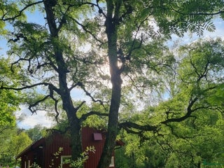 stallplats Ponnybox i centrala Göteborg i Göteborg - Annons 13