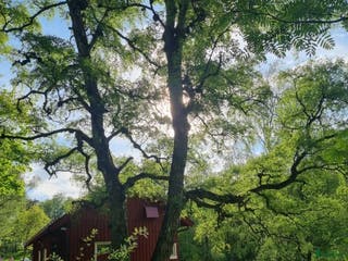 stallplats Box i centrala Göteborg - Annons 6