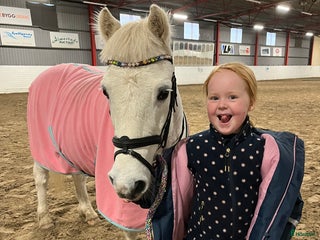 hästar Vår goa Paddy söker kärleksfullt hem i Ulricehamn - Annons 7