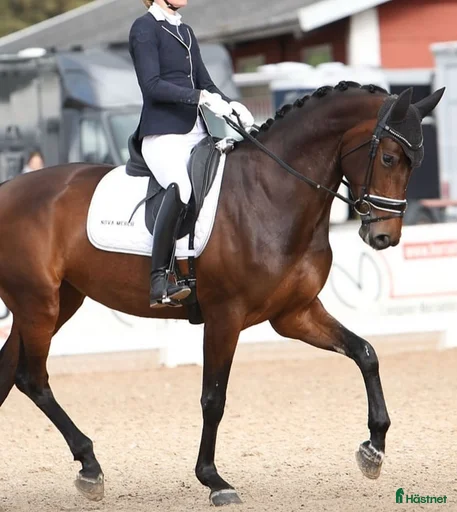 Galleribild {{count}}