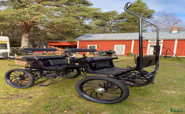 Körvagnar körning till salu i Påläng - Annons 12