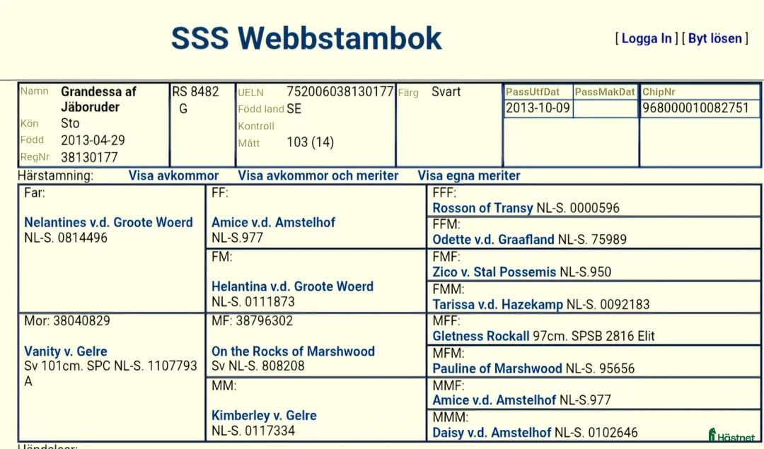 Allround hästar till salu: Dräktigt sto i Vetlanda - Annons 4