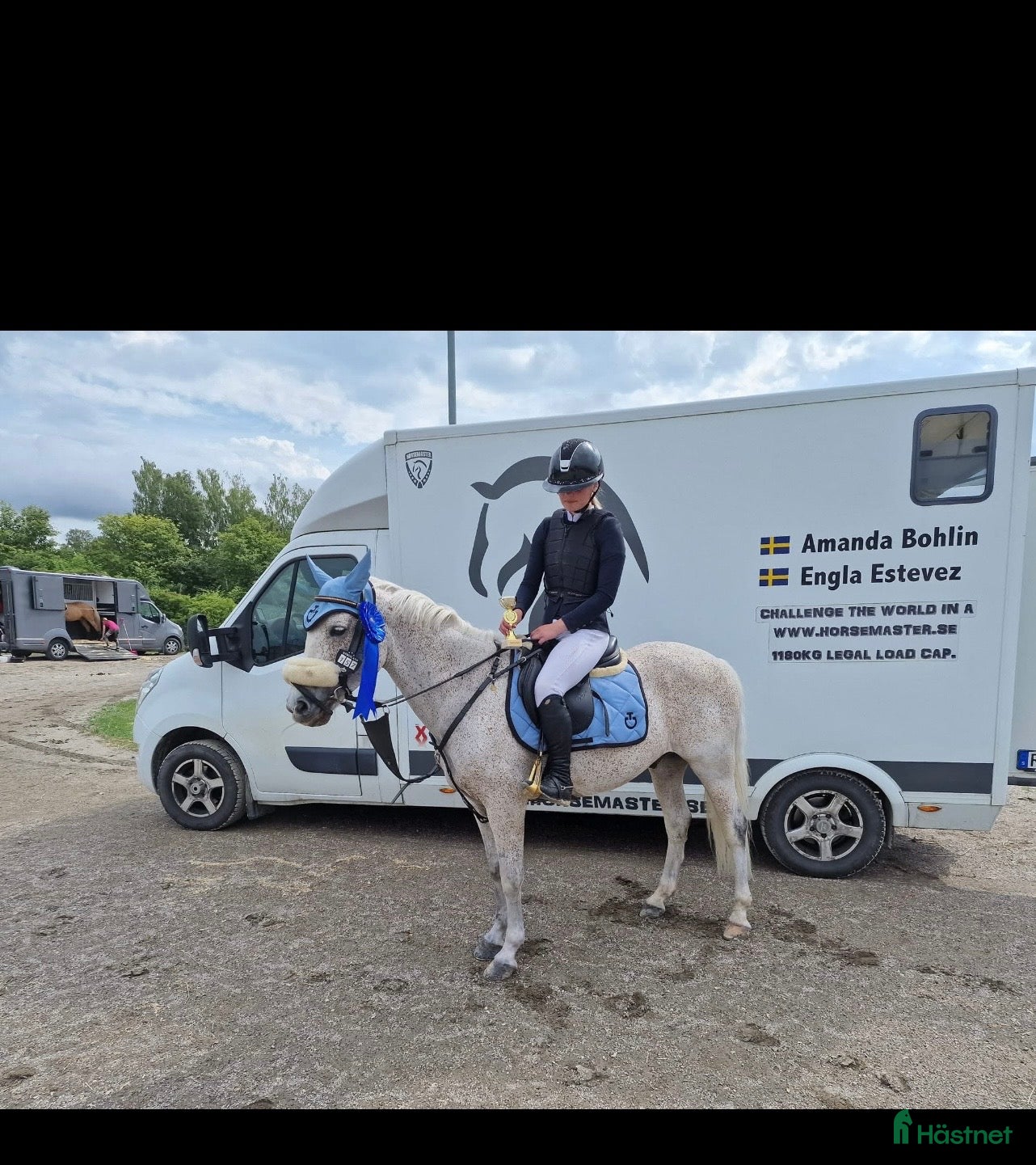  hästar Superfin C ponny  - Annons 9